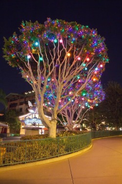 sayonara-sweetheart:  Bucket list: to go to disneyland during christmas time bc whenever i go, it’s always after christmas