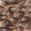 die-nosferatus