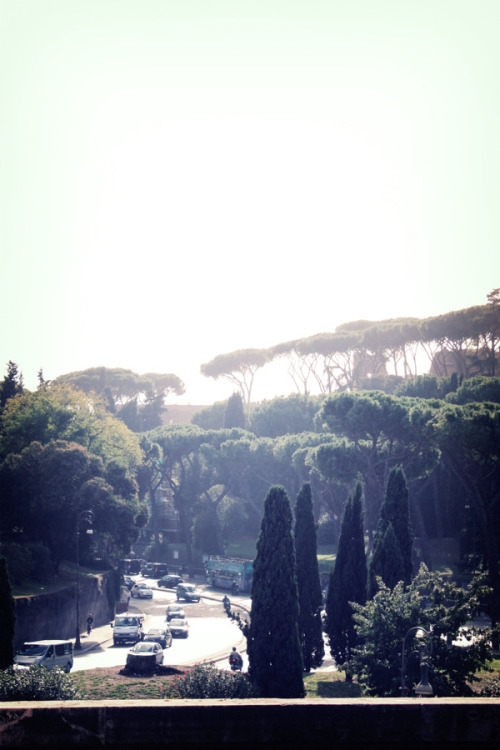 leebarguss:  Rome | Florence - Educational Trip (by Lee Barguss) 