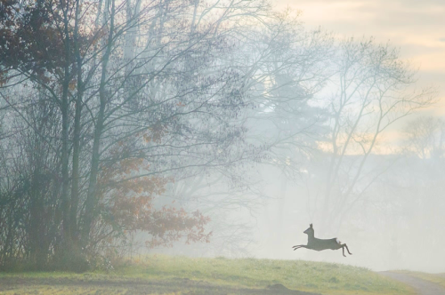 nubbsgalore: photos by seventeen year old swiss photographer etienne francey, who has been taking pi