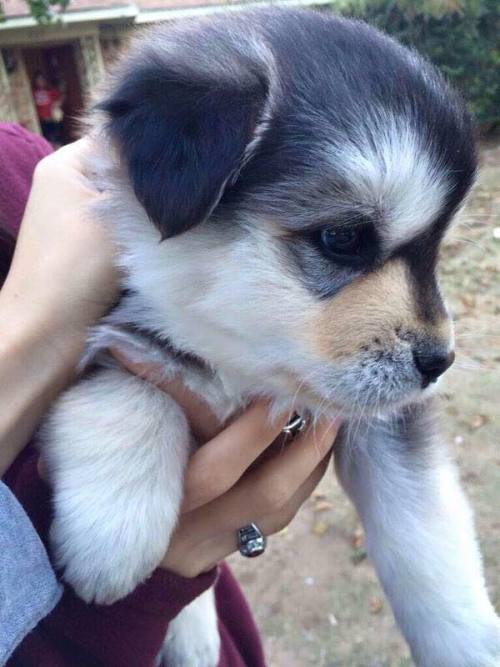 The Most Beautiful Thing You'll See Today.
