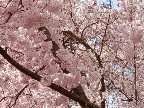 Spring Has Sprung.