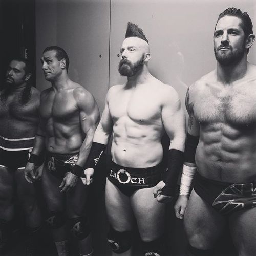 nikki-cim:  wwe: @.rusevig, @.wwesheamus, adult photos