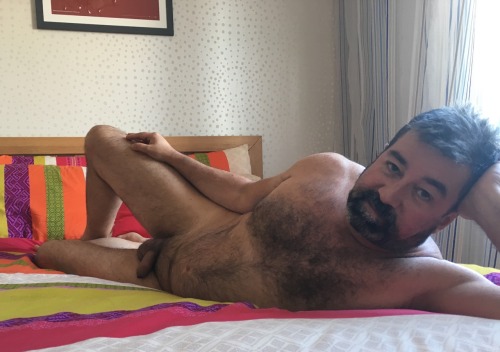 Austrianbear72