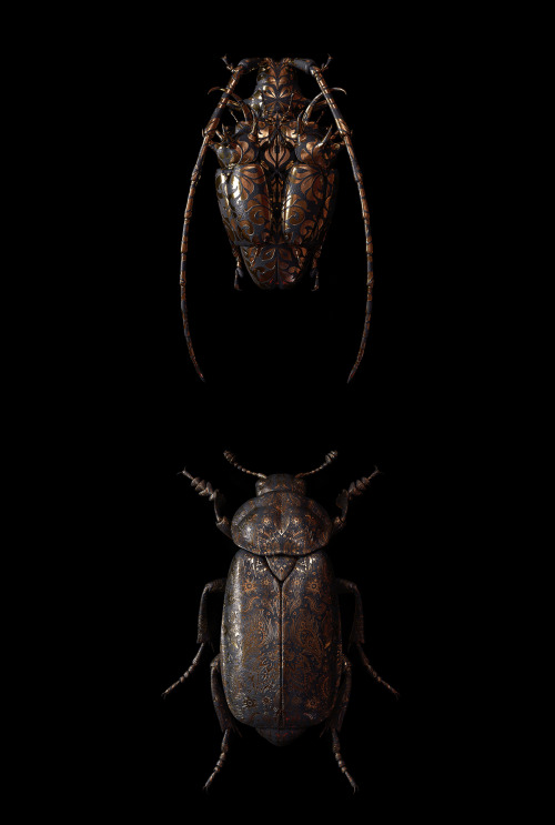 irakalan:   ENGRAVED ENTOMOLOGYArt Director and Creative 3D Designer BILLY BOGIATZOGLOU   [ previously here: GOLDEN SKULLS ] 