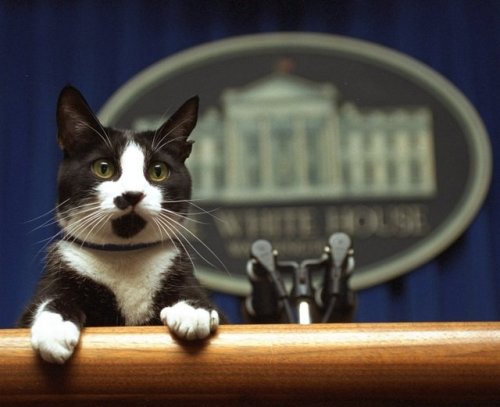 The only press secretary I’ve ever trusted.