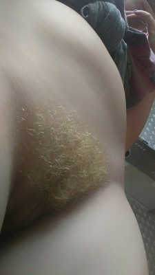 proxypaige:  ^.^ Bush Bush Bush #Bush 