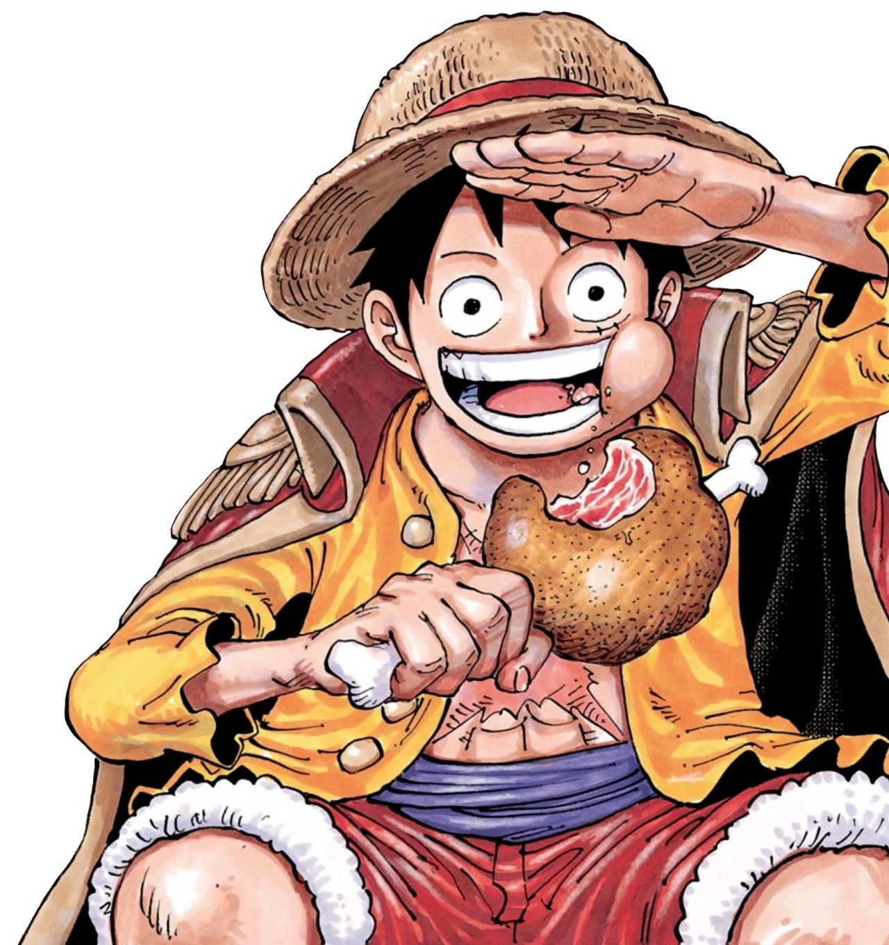 Monkey D Luffy From Colorspread 1000