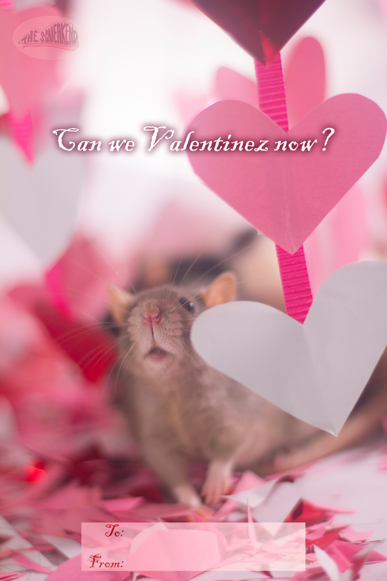RappsRats