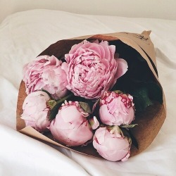 One day I will have a beautiful garden filled with my favorites &amp; pink peonies are simply stunning. They are hard to find and only in springtime. It&rsquo;s one of the few times that if someone I love gave them to me, my heart will overflowing with