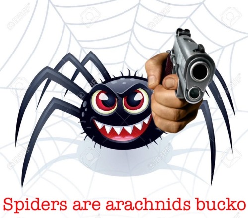 I Will Still Call Him Spiderman Sorry I Dont Have Time For Hyphens