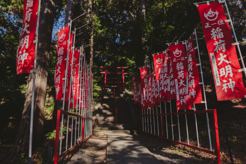 『新年の香り』sony a6400 + SIGMA 16mm F1.4 DC DN | Contemporary2022.01.05location : 静岡県 Shiuoka, Japan神社、事任