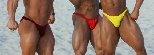 joeysilverado:  We know who they are, but I leave it to the thorough and respected Dr. Wannabe and Mr. Swole to identify should they choose to reblog….anyway, love the bulging posers!