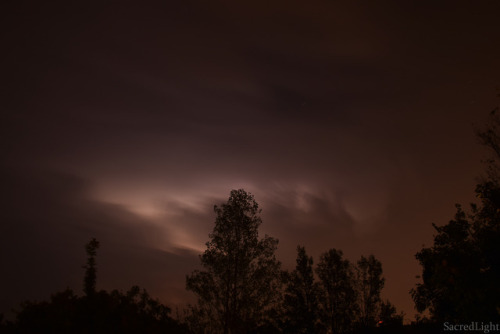 Lightnings into the Natural Reserve of Doberdò Lakes and Pietrarossa, Italyby SacredLight ✺ 