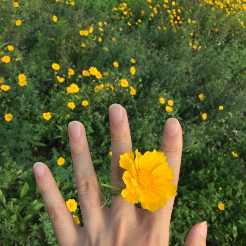 https://jonhi07.tumblr.com/post/137833071995