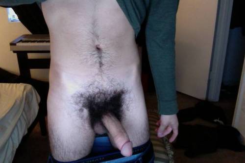 njfreak08:  Hot White horsepower COCK :-) :-) :-) :-)