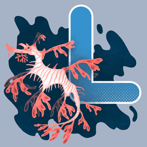 L is for…. Leafy Seadragon!!