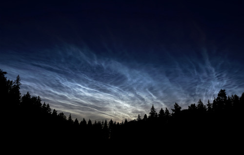 We had some insanely bright noctilucent clouds here last night. Beautiful and eerie at the same time