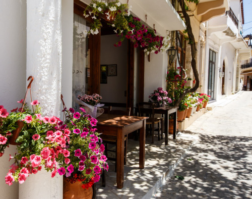 digbyfullam:Taverna flowers in a street in Panormo village.