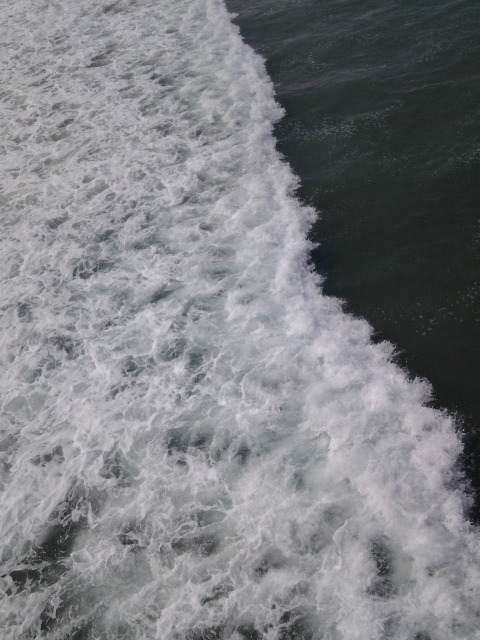 verticali:  took this photo off the pier.