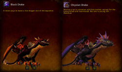 betamourne:  Lore tidbits: Wrathion may have overlooked the Black Drake mount Maloriak saw a lot of potential in Onyxia’s daughter Experiment 12-B may have been the result of an SI-7 cover up or the result of goblins trying their hand at DNA tinkering.