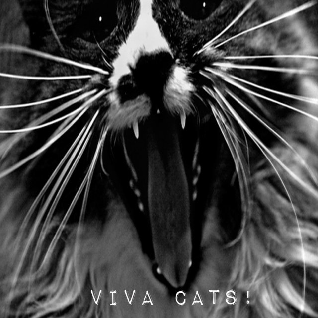 #477 - Viva Cats! - (A Bit Of) Panic#477 – Viva Cats! – (A Bit Of) PanicView On WordPress
