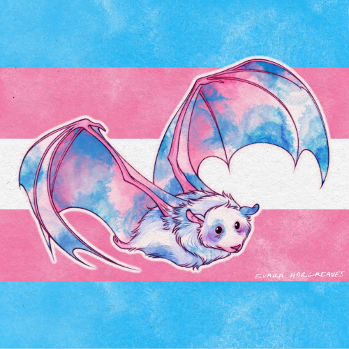 megatorchicchic:evara-hargreaves:I made some pride bats, enjoy! ️‍EDIT: Part 2@snowstuckytrail there