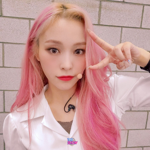 Dreamcatcher Icons.