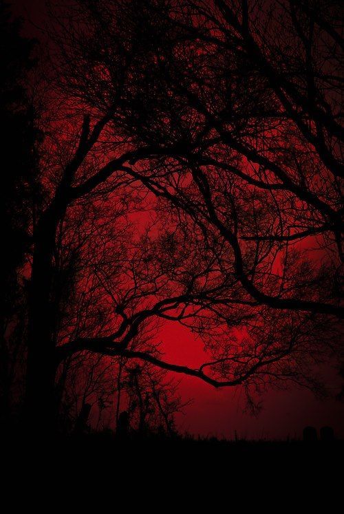 aureum-ghuleh-edits:  This is so aesthetically beautiful. 