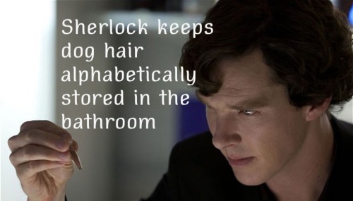 batmanlockedmeinthetardis:Little facts from The Casebook. Enjoy