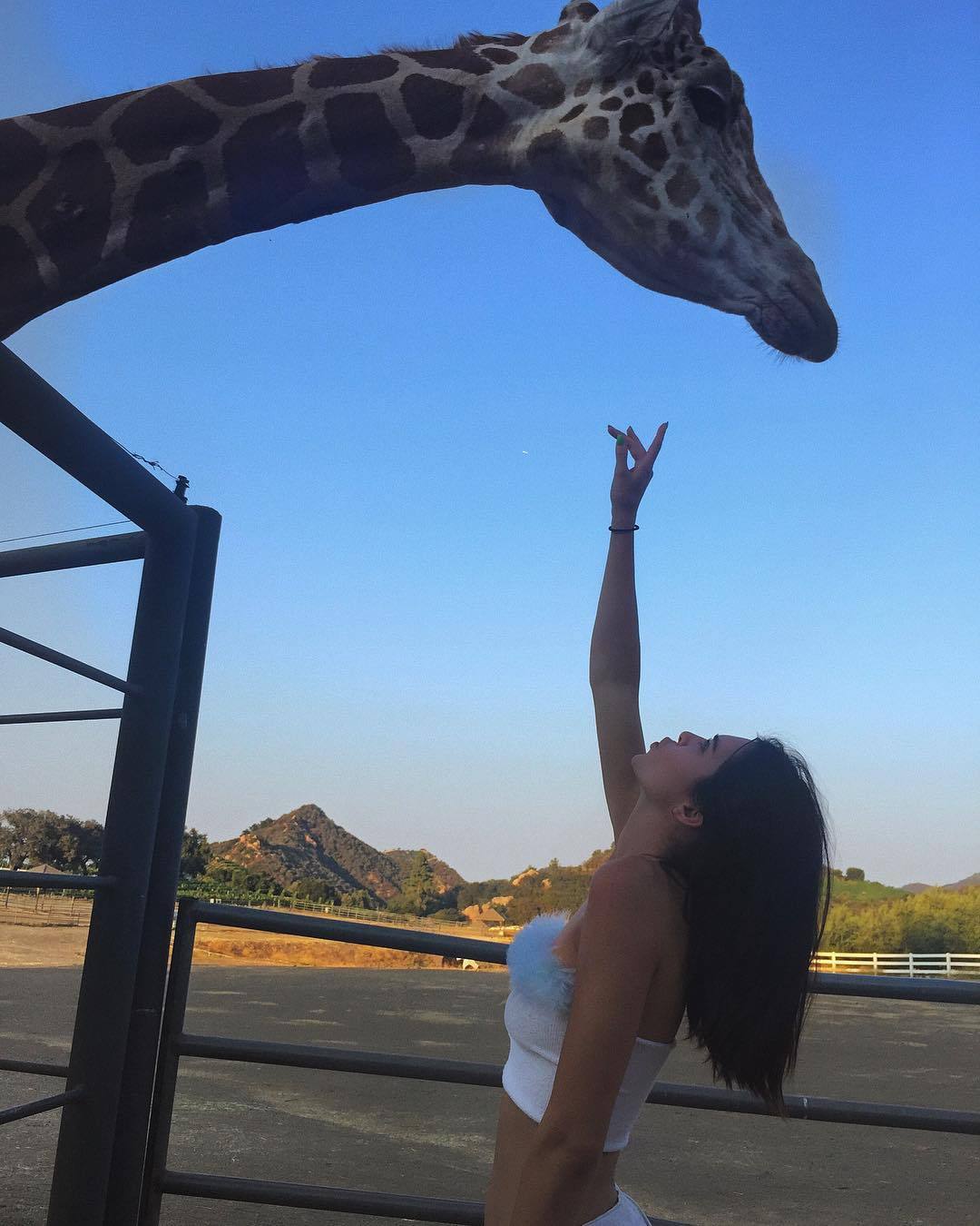 blogofkendall:  Kendall via Instagram