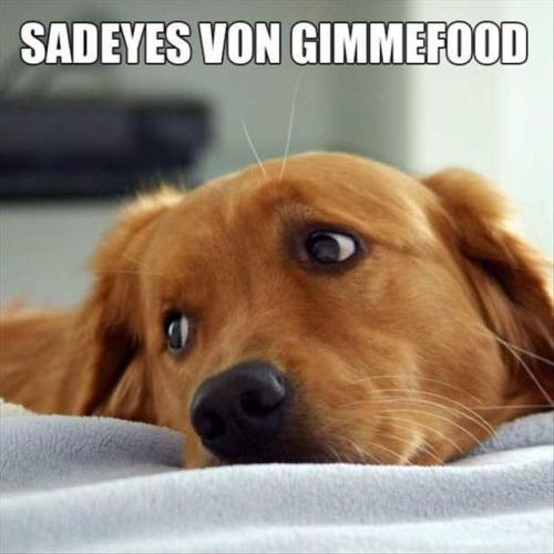What Animals Should Really Be Called.