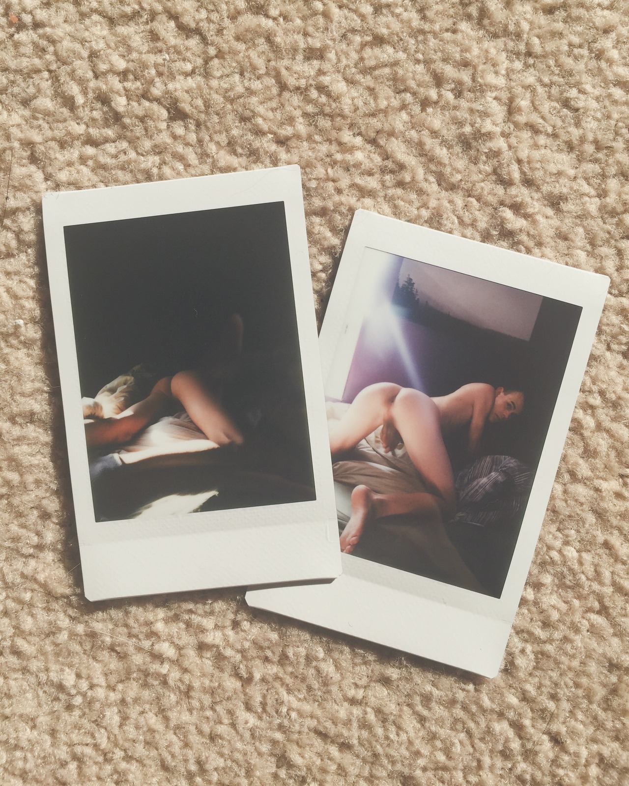 andrewgylb:  🌙 Good night / Good morning ☀️