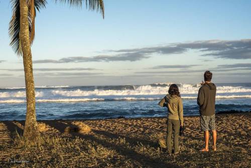 De vuelta en Hawaii, las olitas no paran! / back on Hawaii epic waves! #haleiwa #oahu @quiksilverchi