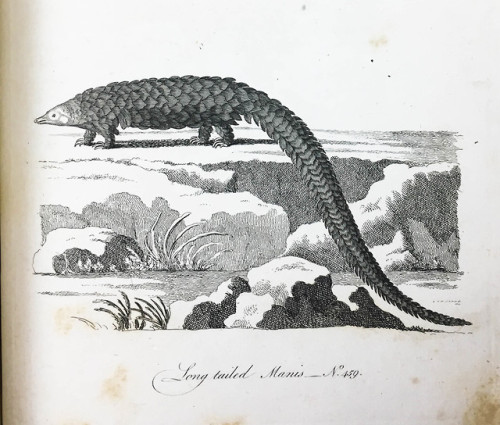 Here are some selections from Thomas Pennant&rsquo;s &ldquo;History of Quadrupeds.&rdquo; Pennant, a