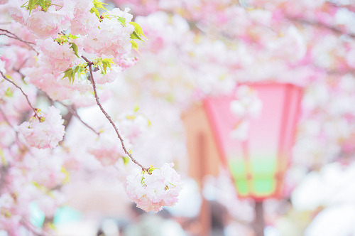 cinnahearts: The omission Osaka Mint street (by kovmakity)