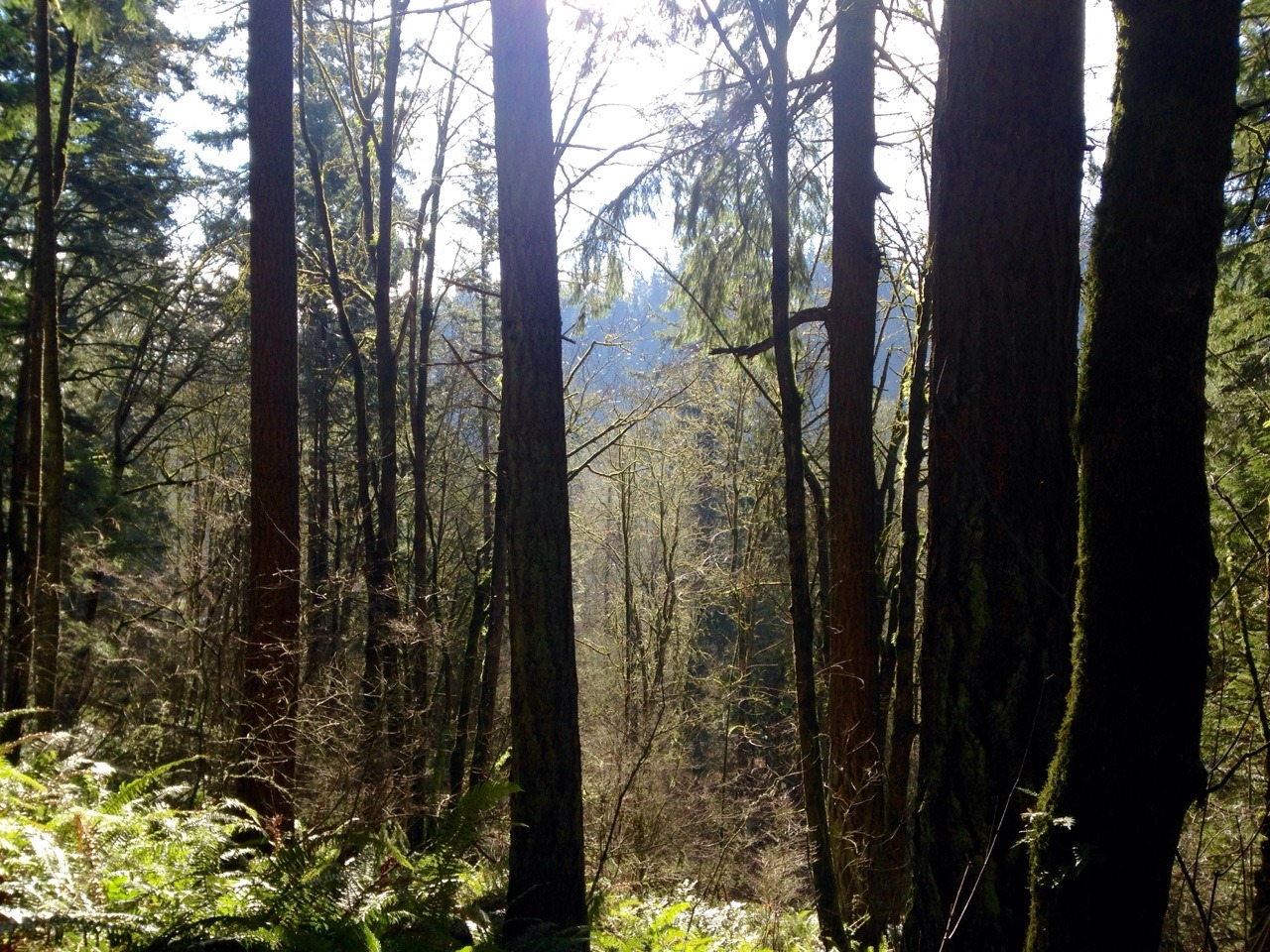 harmsland:  Oregon’s spectacular