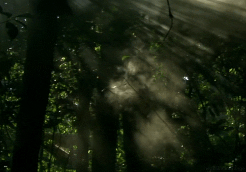oddityvvitch - Local Forest Witch