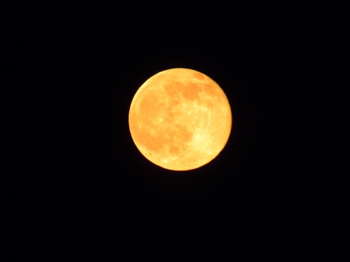 fl0wer-wh0re:  The moon was great tonight 