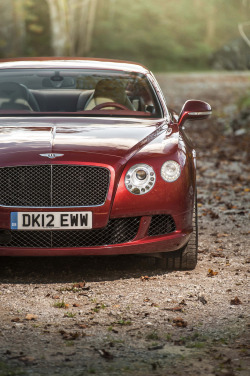 automotivated:  2013_Bentley_Continental_GT_Speed..018 (by Automotive Rhythms) 