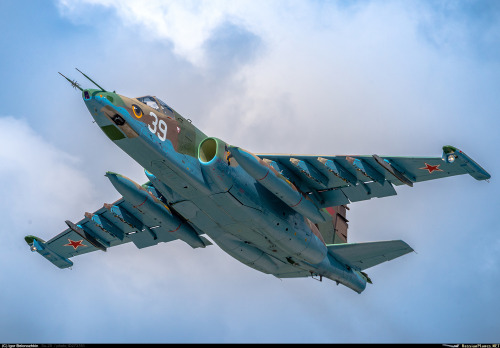 russian-air-force: SU25 - Belarus