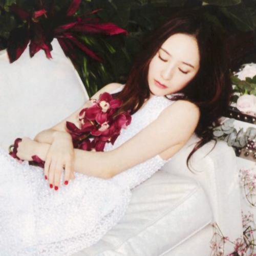Krystal Icons.