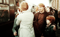  Romione’s evolution   