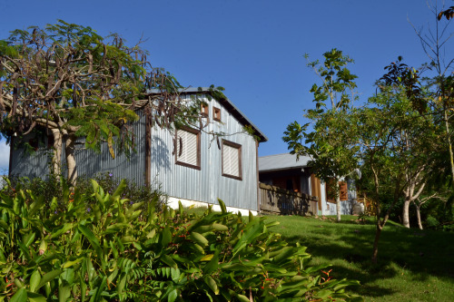 Botanic and Cultural Garden, Caguas, Puerto Rico.