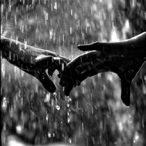 1000-sunz:  I hope she  never ignores the rain; for, likely it taps  her  shoulder —same as my dreams—  desperate  to hold  her.  —1000 sunz