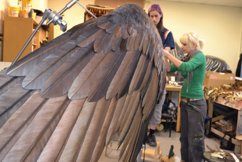key-feathers:  Practical wings created as a starting point for the CGI ones on Maleficent!  I want to try and create a pair of wings of this size (personal project ;) ) These photos are a great inspiration! Source: http://disney.wikia.com/ 