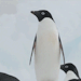 prayeristheanswer1-deactivated2:autumngracy:ignorethisatyourperil:Excuse me, whatTumblr
