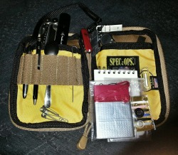 law66:  wndsn:  Windson Low Tech  Urban Utility  Packed for a short trip using a Spec-Ops-Brand organizer gifted to me by a brother from the States.  Scope: general; Contents: Leatherman Wave, Fenix AA, Fisher Space Pen, mechanical pencil, spoon, safety