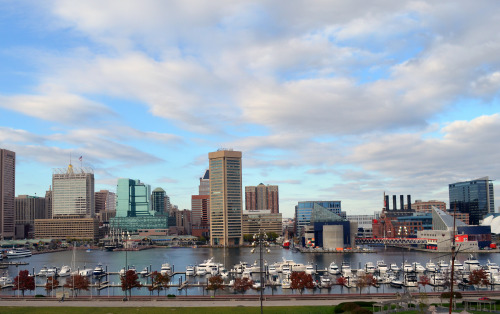 (top) Baltimore harbor from Federal Hill, 1850.(top middle) Baltimore harbor from Federal Hill (faci