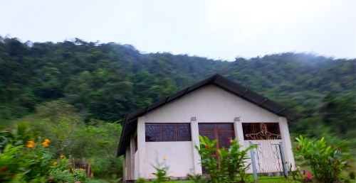 haleyocentrism:  near san ramon, costa rica